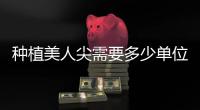 種植美人尖需要多少單位毛囊 種植美人尖取哪里的毛囊