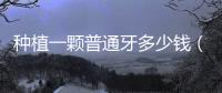 種植一顆普通牙多少錢（牙齒種植費用及注意事項）