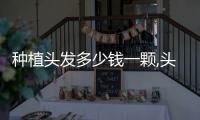 種植頭發(fā)多少錢一顆,頭發(fā)種植的價格區(qū)間及注意事項