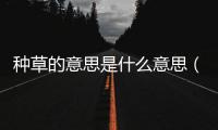 種草的意思是什么意思（女生說種草是什么意思）
