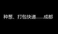 種蔥、打包快遞……成都中小學(xué)的勞動(dòng)課這樣上