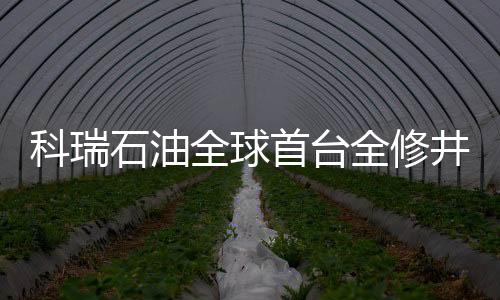 科瑞石油全球首臺全修井平臺隨車移運沙漠修井機成功發運