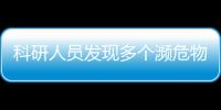 科研人員發(fā)現(xiàn)多個(gè)瀕危物種巫山北鯢棲息種群