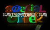 科勒衛浴好在哪里（科勒衛浴怎么樣）
