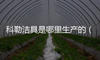 科勒潔具是哪里生產(chǎn)的（科勒潔具報價）