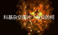 科基雜交圖片，雜交的柯基值不值得買