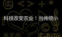 科技改變農業！當傳統小麥遇上現代機械化收割……