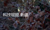 科技賦能 新疆65萬畝棉花全面開播