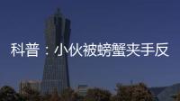 科普：小伙被螃蟹夾手反咬一口，結果患肺吸蟲病！七種食物攜帶肺吸蟲