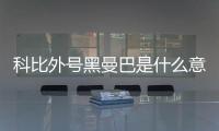 科比外號黑曼巴是什么意思（曼巴是什么意思）