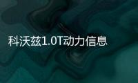 科沃茲1.0T動力信息 搭雙離合變速箱