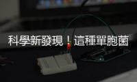 科學新發現！這種單胞菌不僅愛吃塑膠，還能將垃圾轉化成塑膠