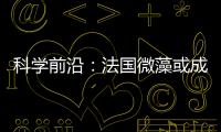 科學前沿：法國微藻或成霜霉病克星
