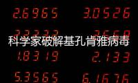 科學家破解基孔肯雅病毒入侵機制—新聞—科學網