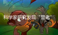 科學家研究發現“顯老”基因