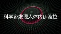 科學家發現人體內伊波拉病毒的負調節蛋白