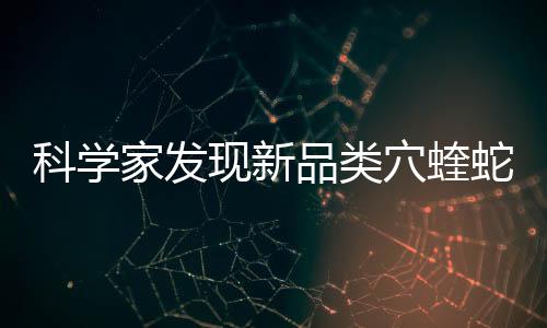 科學家發現新品類穴蝰蛇：不張嘴就能毒死人