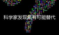 科學家發現氟有可能替代鋰 用于可充電電池