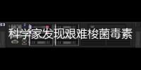 科學家發現艱難梭菌毒素B入侵人體的新“大門”—新聞—科學網