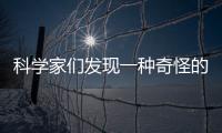 科學家們發現一種奇怪的新型恒星 其形成令人困惑不已