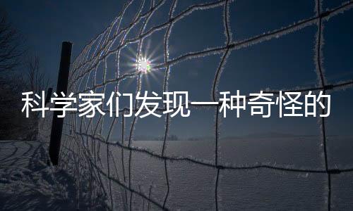 科學(xué)家們發(fā)現(xiàn)一種奇怪的新型恒星 其形成令人困惑不已
