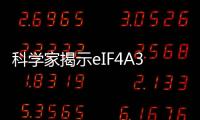 科學家揭示eIF4A3蛋白在癌癥進展過程中扮演的關鍵角色