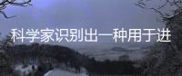 科學家識別出一種用于進行胰腺癌早期診斷的潛在生物標志物