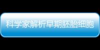 科學家解析早期胚胎細胞的“成長之路”—新聞—科學網