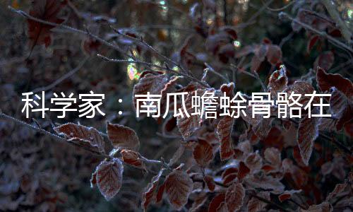 科學(xué)家：南瓜蟾蜍骨骼在紫外線照射下會發(fā)出熒光
