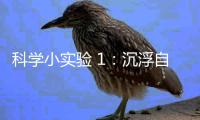 科學小實驗 1：沉浮自如的“浮沉子”