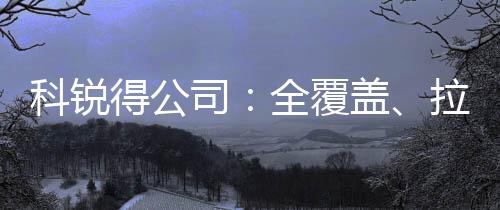 科銳得公司：全覆蓋、拉網式、無死角——嚴查震后安全隱患