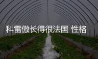 科雷傲長(zhǎng)得很法國(guó) 性格很日本 出身很韓國(guó)