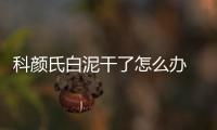 科顏氏白泥干了怎么辦 科顏氏白泥用法