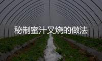 秘制蜜汁叉燒的做法