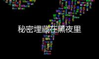 秘密埋藏在黑夜里
