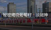 秘密揭曉葡萄籽：淡斑神器還是騙局？