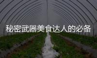 秘密武器美食達人的必備，解鎖健康瘦身新境界！