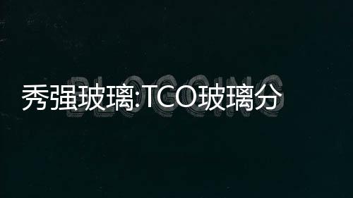 秀強玻璃:TCO玻璃分享太陽能電池行業高生長,企業新聞