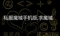 私服魔域手機版,求魔域手游私服