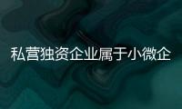 私營獨資企業屬于小微企業嗎（私營獨資企業）
