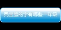 禿寶蓋的字有哪些一年級（禿寶蓋的字）