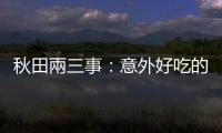 秋田兩三事：意外好吃的稻庭烏龍麵，還有「被日本拋棄」的藤田嗣治