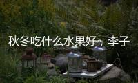 秋冬吃什么水果好，李子、櫻桃、蘋果等（含水分高）