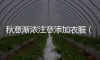 秋意漸濃注意添加衣服（秋意漸濃）