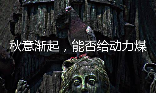 秋意漸起，能否給動力煤市場指明方向?