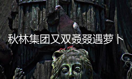 秋林集團又雙叒叕遇蘿卜章：為何訴訟不斷?