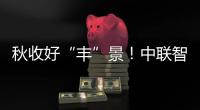 秋收好“豐”景！中聯(lián)智慧農(nóng)業(yè)精準(zhǔn)施肥技術(shù)助力優(yōu)質(zhì)稻單產(chǎn)提升