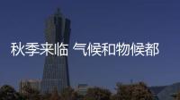 秋季來臨 氣候和物候都易“招來”過敏性鼻炎