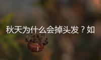 秋天為什么會掉頭發？如何預防秋季脫發？