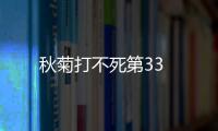 秋菊打不死第33